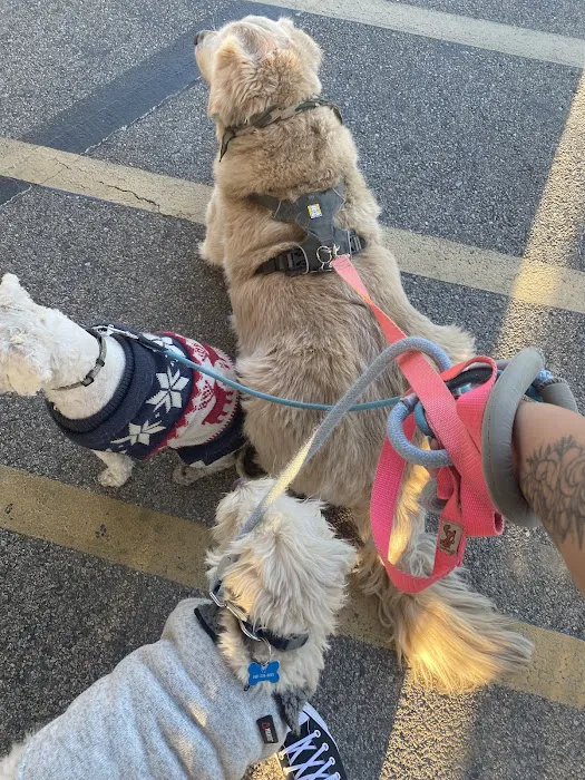 Low Cost Pet Vaccines of Los Angeles - One Generation Parking Lot 1