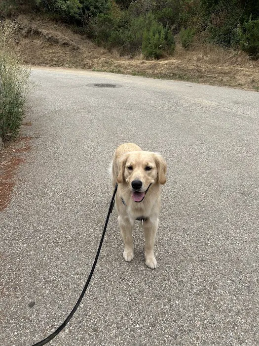 Low Cost Pet Vaccines of Los Angeles - One Generation Parking Lot 10