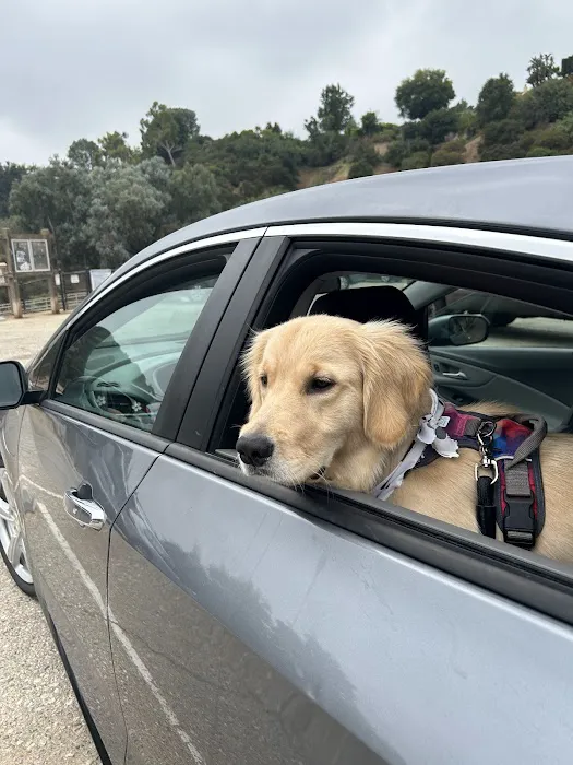 Low Cost Pet Vaccines of Los Angeles - One Generation Parking Lot 5