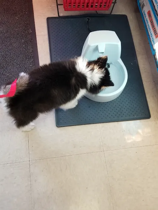 Low Cost Pet Vaccines of Los Angeles - One Generation Parking Lot 4
