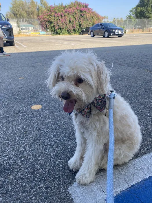 Low Cost Pet Vaccines of Los Angeles - One Generation Parking Lot 2