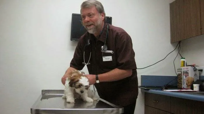 VCA McClave Animal Hospital 1