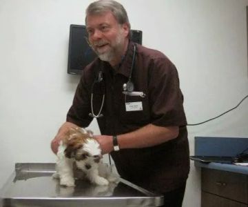 VCA McClave Animal Hospital