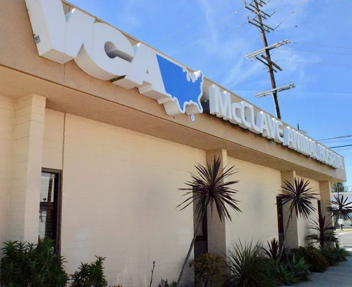 VCA McClave Animal Hospital 5
