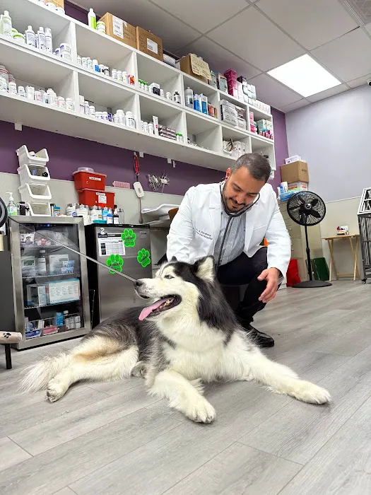 Encino Pet Hospital and Emergency 7