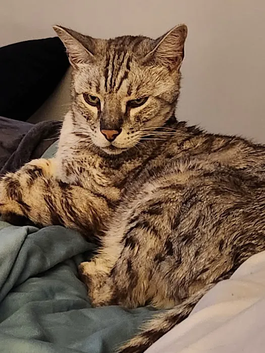 Encino Veterinary Center 8