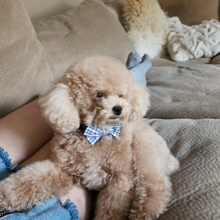 Encino Veterinary Center 3