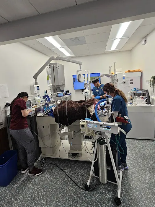 Encino Veterinary Center 1