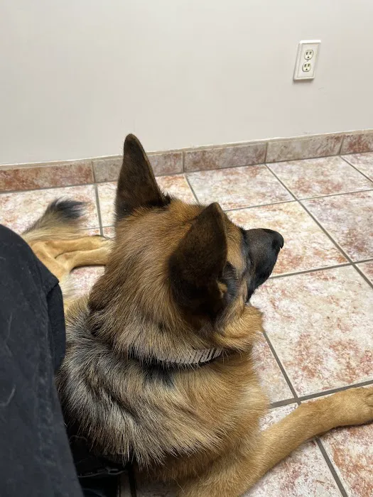 Animal Clinic of Encino 6