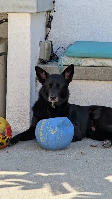 Animal Clinic of Encino 9