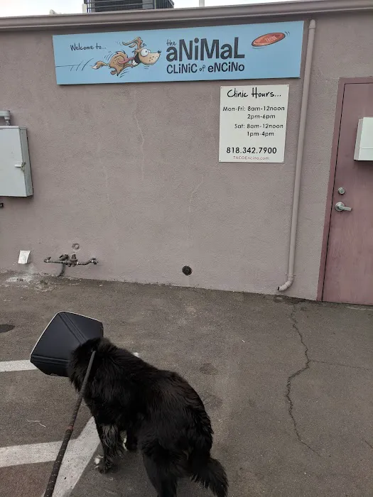 Animal Clinic of Encino 10