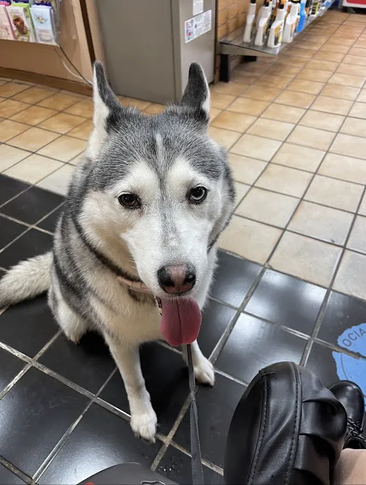 Tarzana Pet Clinic 1