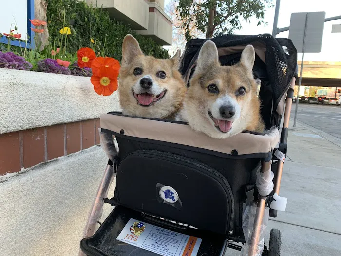 Tarzana Pet Clinic 3