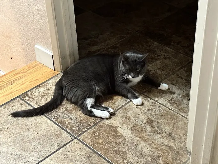 Tarzana Pet Clinic 9