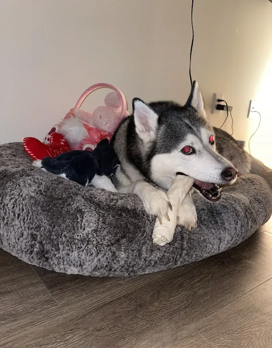Tarzana Pet Clinic 6