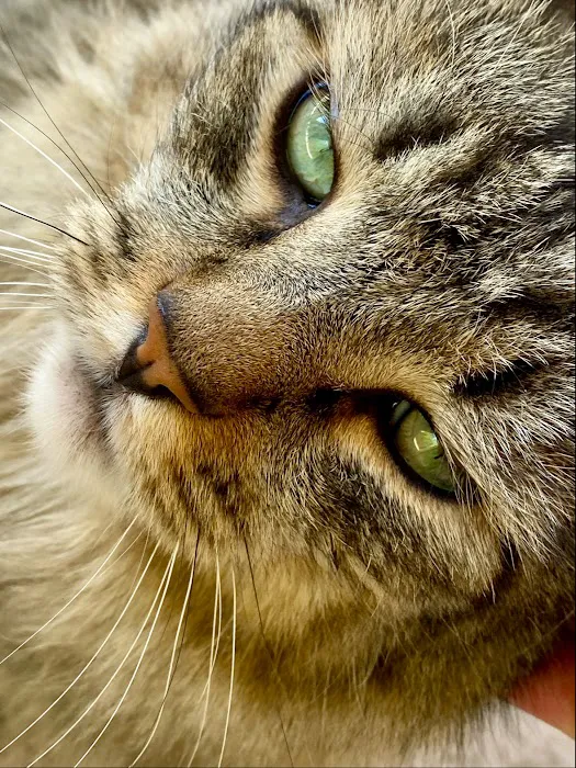 B & C Animal Companion Care 9