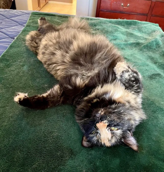 B & C Animal Companion Care 3