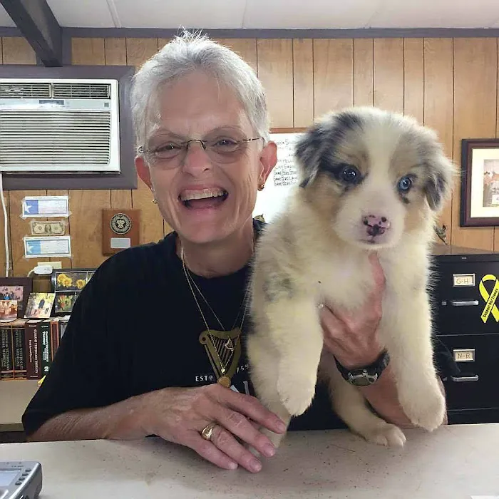 Snook Veterinary Clinic 7