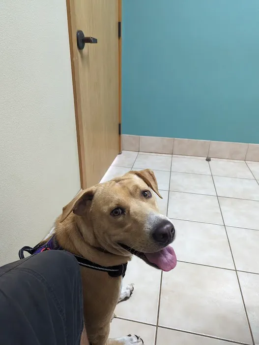 Town & Country Veterinary Hospital 2