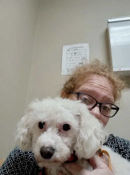 Town & Country Veterinary Hospital 3