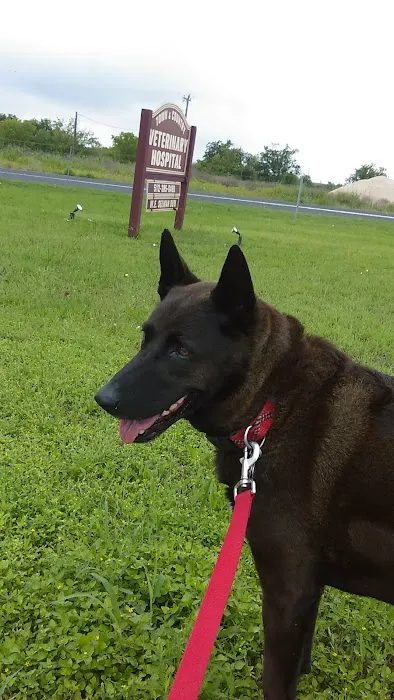 Town & Country Veterinary Hospital 7
