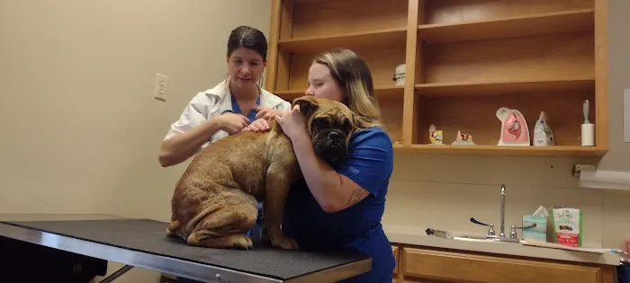 Town & Country Veterinary Hospital 4