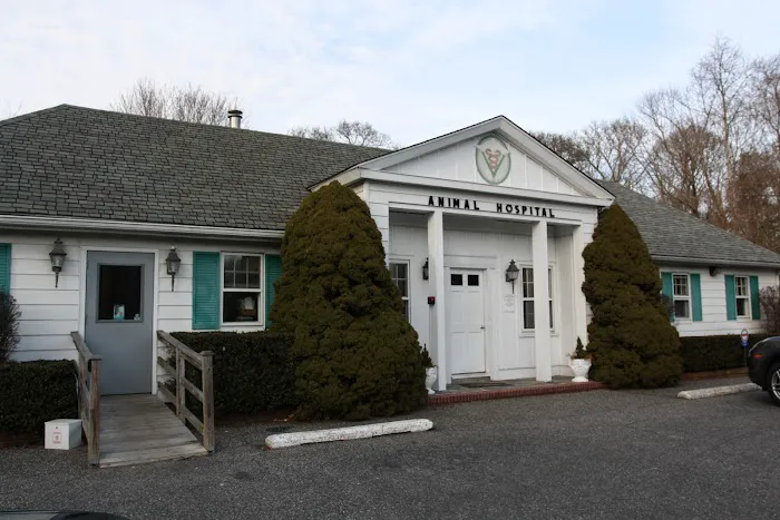 East Hampton Veterinary Group 1