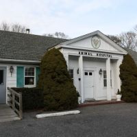 East Hampton Veterinary Group ico