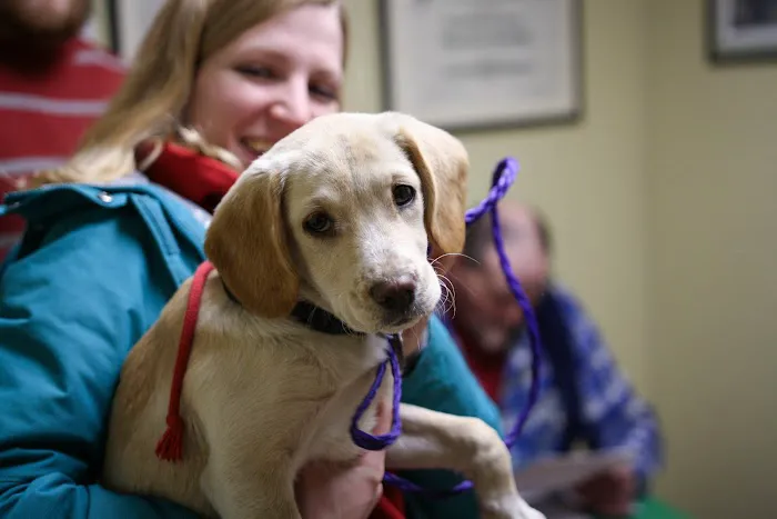 East Hampton Veterinary Group 6