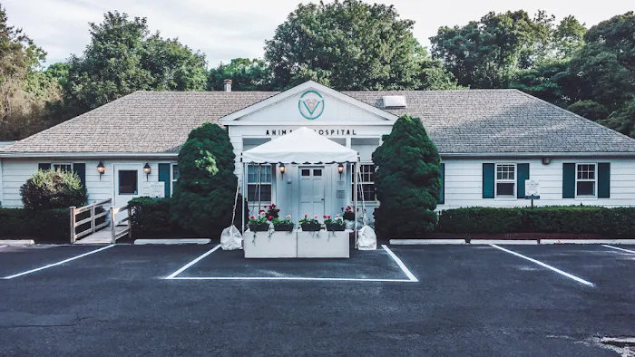 East Hampton Veterinary Group 3