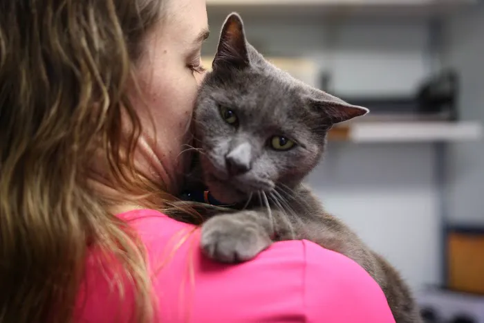 East Hampton Veterinary Group 10