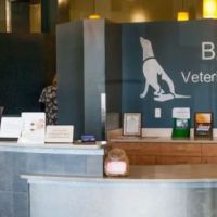 Banning Veterinary Hospital ico