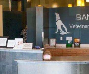 Banning Veterinary Hospital