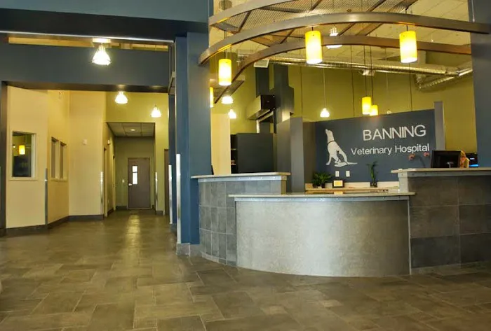 Banning Veterinary Hospital 2