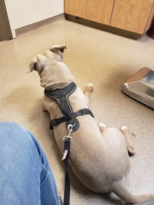 Banning Veterinary Hospital 8