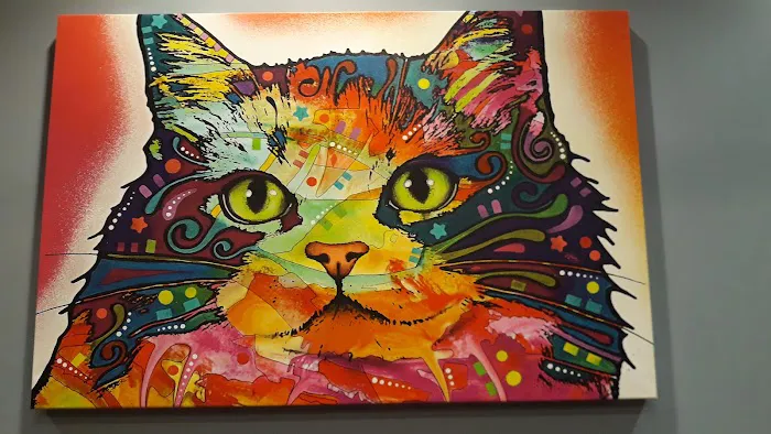 Haven Animal Hospital 2