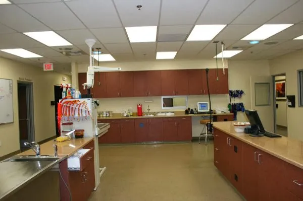 Haven Animal Hospital 3