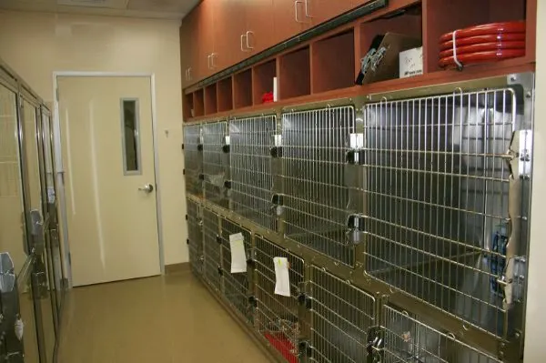 Haven Animal Hospital 8
