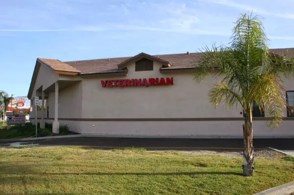 Haven Animal Hospital 10