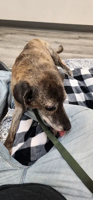 Animal Medical Center 3