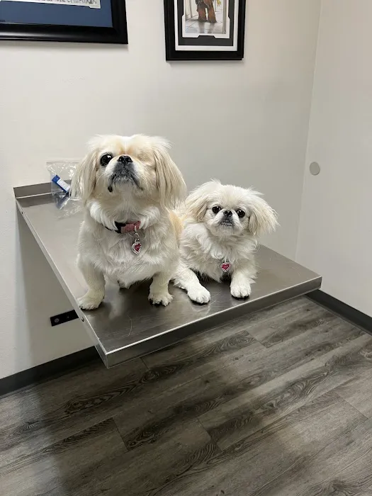 Animal Medical Center 4