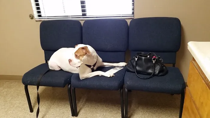 Acacia Animal Hospital 2