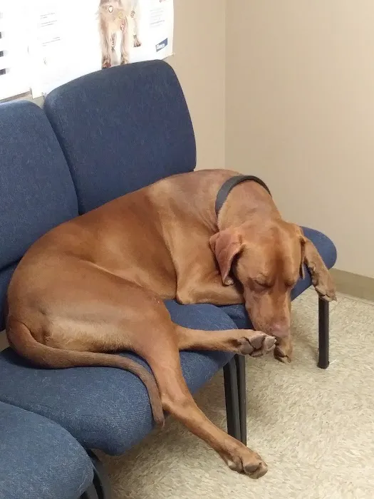 Acacia Animal Hospital 6