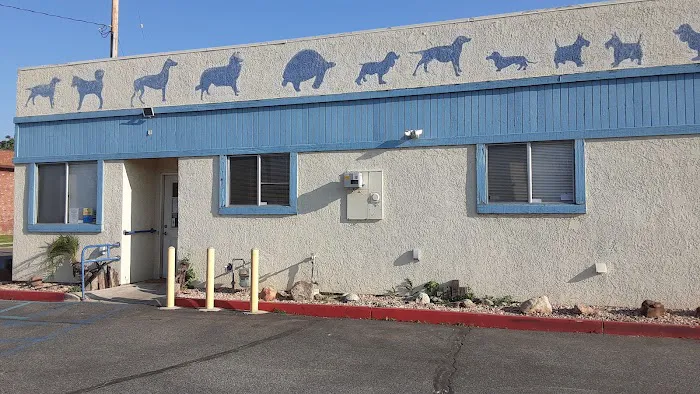 Buena Vista Pet Clinic 3