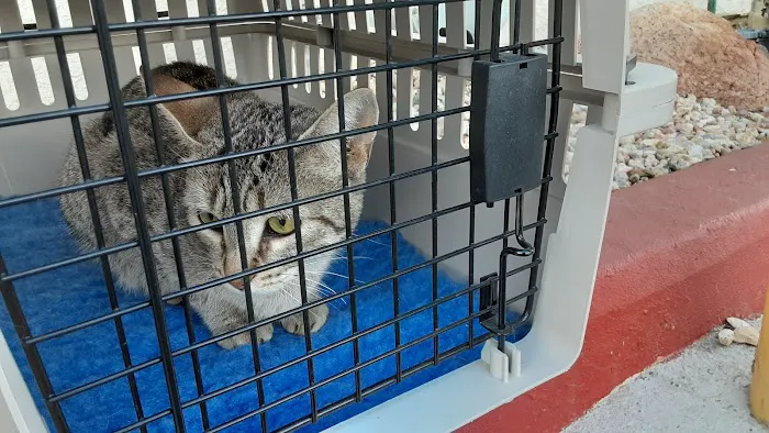 Buena Vista Pet Clinic 6