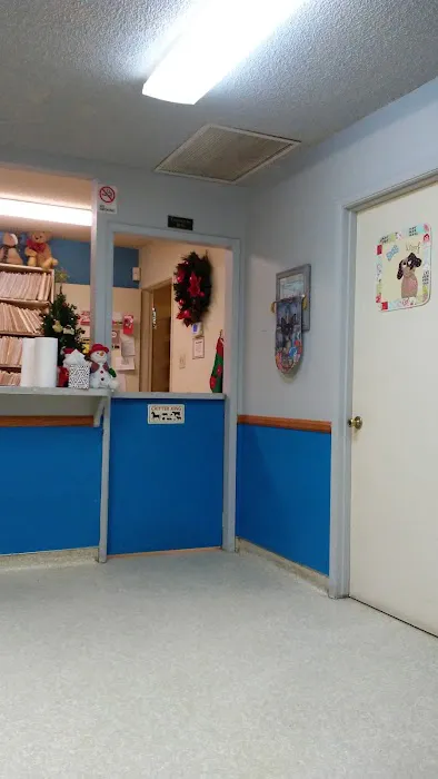 Buena Vista Pet Clinic 7
