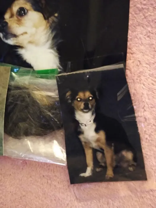 Hemet Animal Hospital: Kaylor Barbara DVM 2