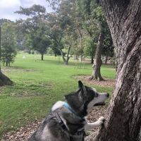 Hemet Animal Hospital: Kaylor Barbara DVM ico
