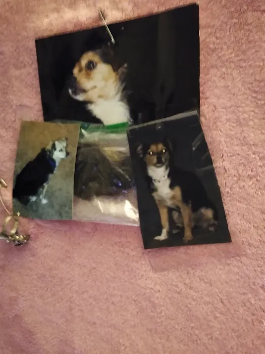 Hemet Animal Hospital: Kaylor Barbara DVM 7