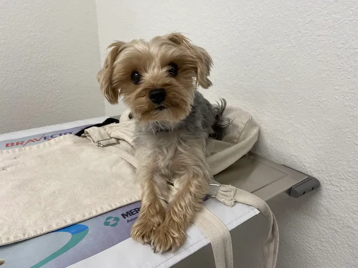 Hemet Animal Hospital 1